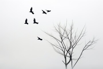 Minimalist Migration of Birds in Winter