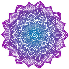 Fototapeta premium Mandala ilustrado original sin fondo