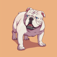 Dog american bully pitbull white
