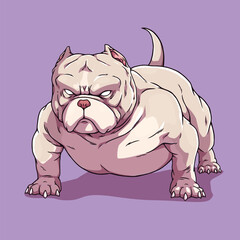 Dog american bully pitbull white
