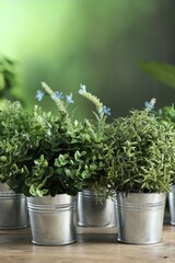 Different artificial potted herbs on wooden table outdoors