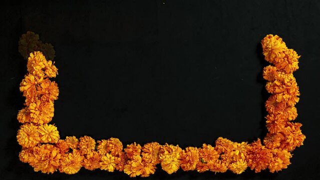 Stop-Motion Animation of a Day of the Dead Marigold frame.These bright orange flowers contrast beautifully against the deep black background, creating a visually striking image with ample copy space 