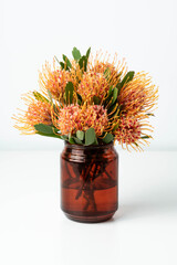 Beautiful orange Waratah (Telopea) in a browns glass jar vase, on a white table with a white background.