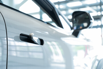 Close-up of an integrated handle in a car door. Fingerprint lock. 