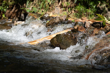 River fall Puerto Rico