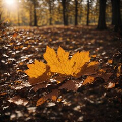 sunrays shining through the cinematic view of autumn leaves on the forest floor