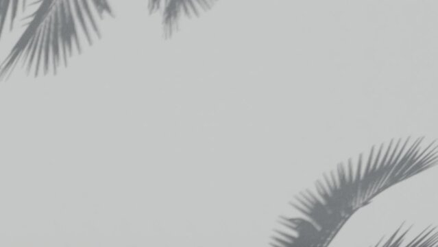 White wall background with shadows, in high resolution. Perfect for video background