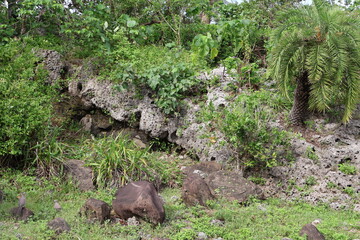 October 10, 2023: Eastern Taiwan