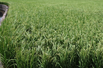 October 10, 2023: Eastern Taiwan