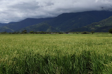 Fototapeta premium October 10, 2023: Eastern Taiwan