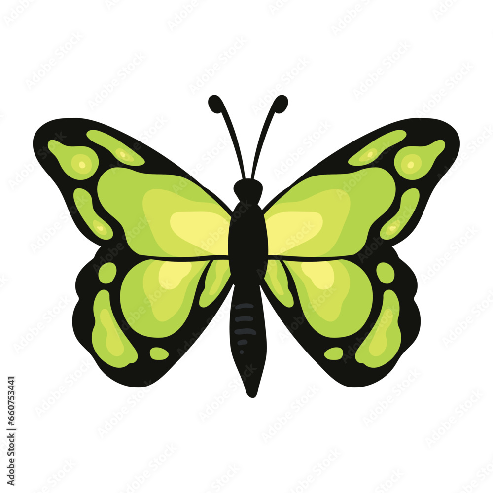 Canvas Prints butterfly natural isolated