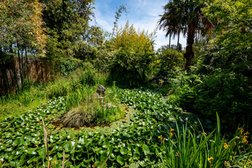 La Mortella Garden in Isola d'Ischia - Italy