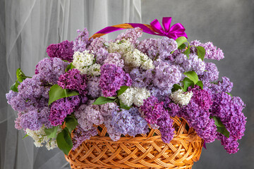 Basket with beautiful blooming lilacs