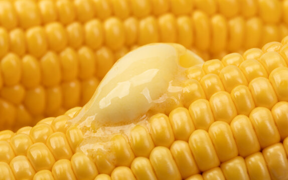 Butter melts on corn cobs