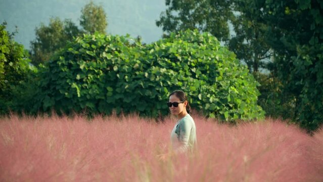 Traking Shot of Korean Woman Walking Through Pink Muhly Grassland Field And Touching Tall Grass with Hand in Slow Motion with Lush Green Tropical Greenery in Background - telephoto side dolly tracking