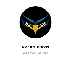 owl on a black background