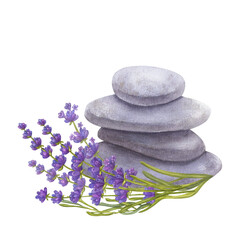 Spa sprigs of lavender, stones pyramids. Massage, aromatherapy, essential. Hand draw watercolor illustration isolated on white background. For the design logo cosmetics, descriptions