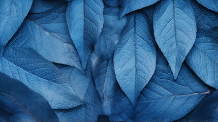 leaf texture background, blue toned