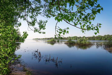 Water channel in the Volga river with swamp vegetation and flooded forest