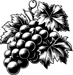 Grapes Vector Silhouette