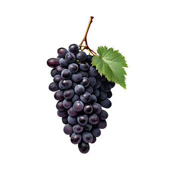 bunch of grapes on transparent background PNG image