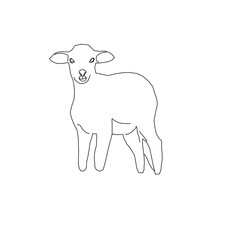 Lamb