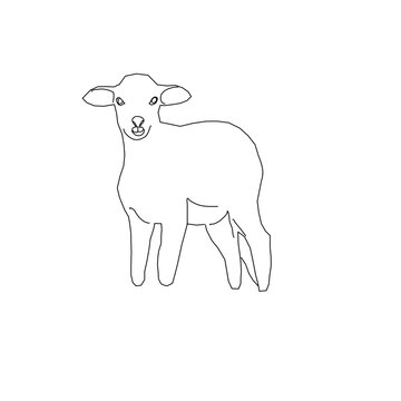 Lamb