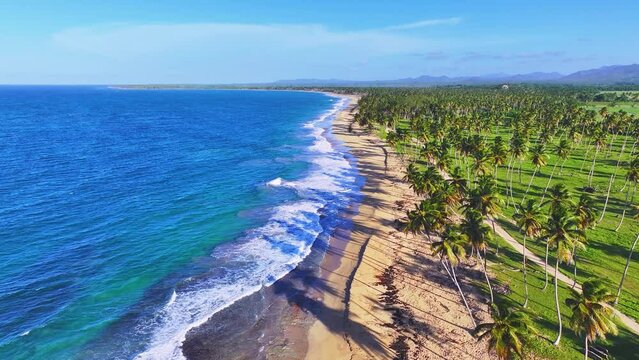 Panoramic image of a beautiful seascape with palm Thai beach and sea wave on the sand. Travel to a tropical paradise. Summer holiday on an exotic island with beautiful palm trees.
