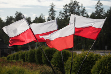 Polish flag waving on wind. Proud country symbol. National flag white and red color. Memorial place outdoor in a park. Silk fabric waves. Independence background. Freedom of nation. Poland country.