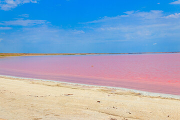 View of the pink salty Syvash lake in Kherson region, Ukraine