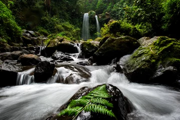 Badkamer foto achterwand waterfall in the forest © fajarkeramik