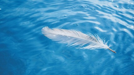 white feather in the water