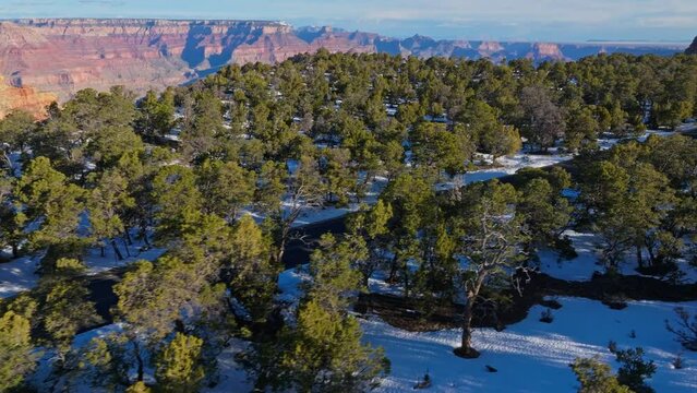 Driving In The Road Passing Through Snow Forest Near Grand Canyon National Park In Arizona, United States. Aerial Shot