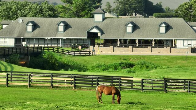 Thoroughbred horse grazing in fenced pasture with stalls and barn in background. Aerial establishing shot during golden hour sunset in Kentucky.