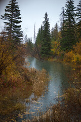 rainy day in the park with lake