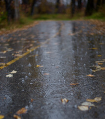 rain drops on asphalt