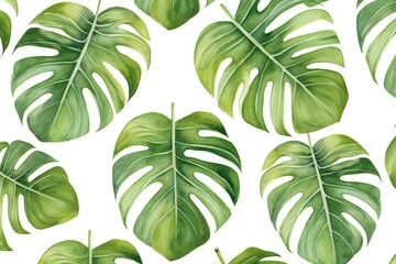 watercolor handdrawn abstract floral pattern template green background, exotic tropical wall with green monstera palm leaves on white. - obrazy, fototapety, plakaty