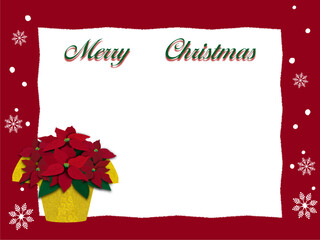 クリスマス用に包装された赤いポインセチアの鉢植えのフレーム - obrazy, fototapety, plakaty
