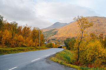 Autumn in Tromso and it's neighbouring island Kvaloya. High quality photo - 660803227