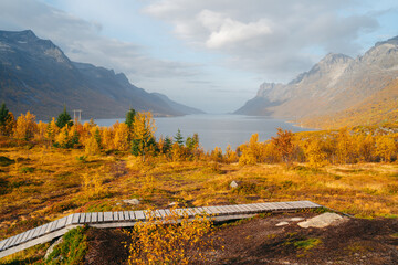 Autumn in Tromso and it's neighbouring island Kvaloya. High quality photo - 660803882