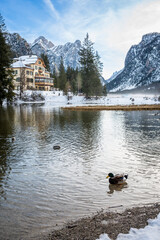 Lake Dobbiaco. Treasure chest among the Dolomites. Winter atmosphere. - 660805002