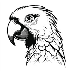 Black And White Parrot Icon On White Background