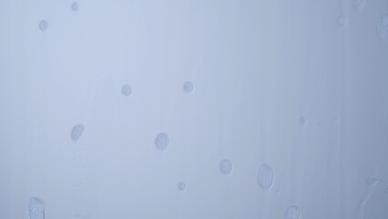 Foam bubbles falling flowing down by the clear surface creating blurry effect, beautiful abstract background.