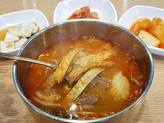 yukgaejang, hot spicy meat stew, korean food