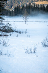 Lake Dobbiaco. Treasure chest among the Dolomites. Winter atmosphere.