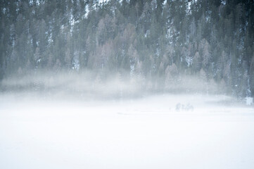 Lake Dobbiaco. Treasure chest among the Dolomites. Winter atmosphere.