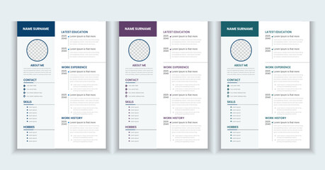 Professional resume Design and business layout, Creative cv template vector minimalist  for Business Job Applications,