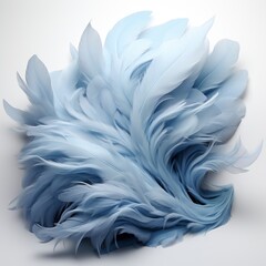 Full view Sea featheron a completely white background, wallpaper pictures, Background HD