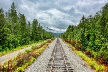 Scenic view of a railroad in a forest of green fir trees in Alaska