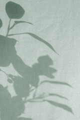 Abstract foliage sunlight shadow silhouette on sage green linen curtain. Elegant sustainable...